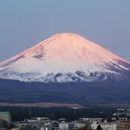 年頭のご挨拶